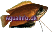 aquainfo.dk logo 180x114