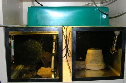 hjemmelavet-akvarielampe