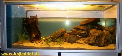 akvarium-148l