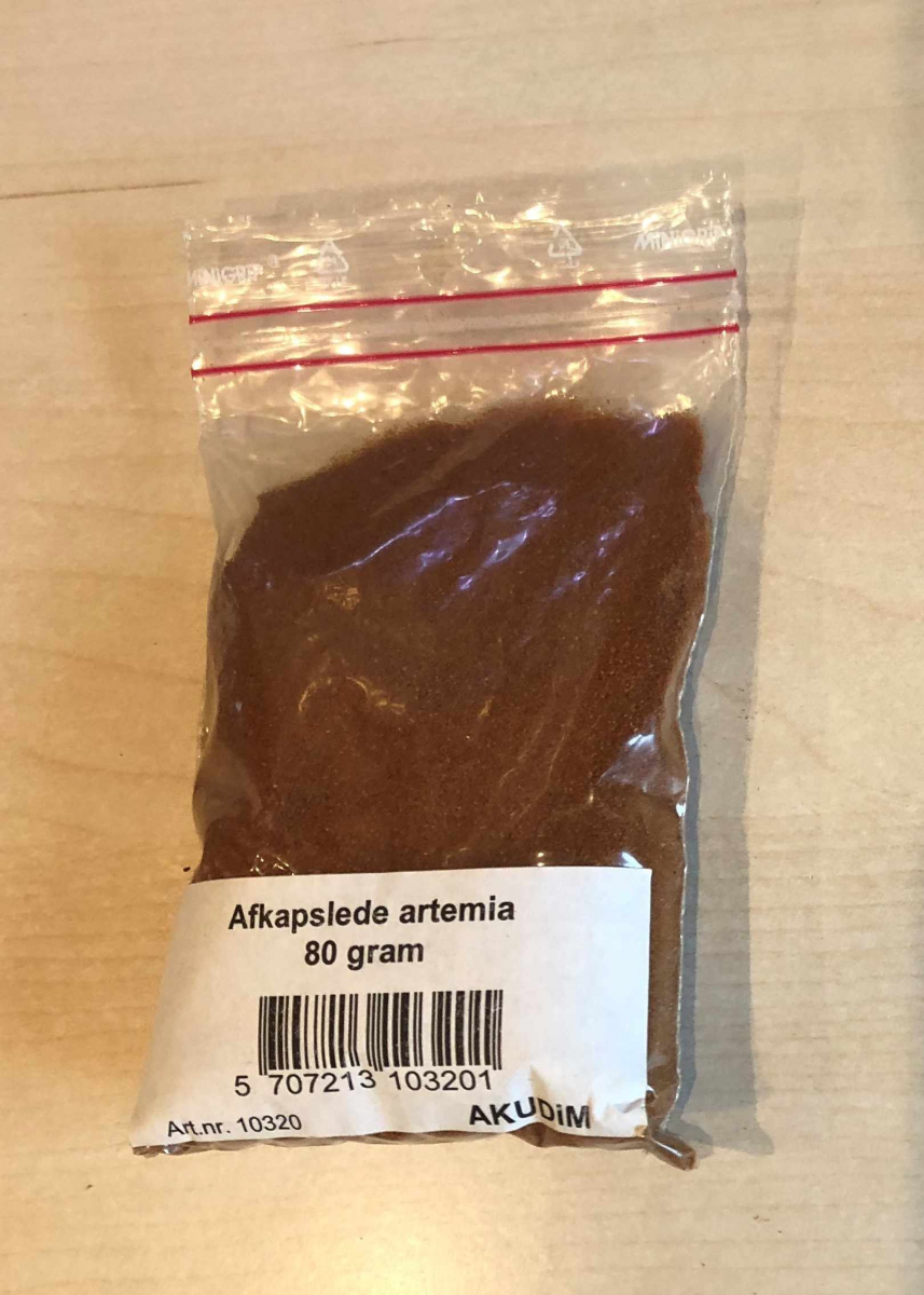 Afskallede Artemia æg