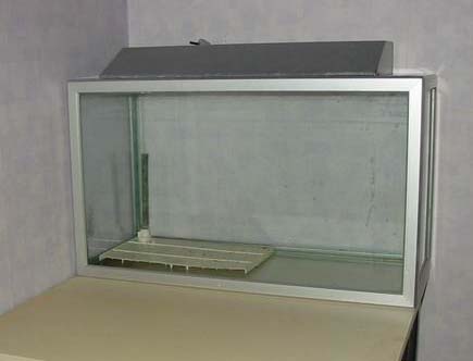 My old 53-liter aquarium, ready for sale.