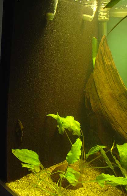 HMF filter made of black filter mat