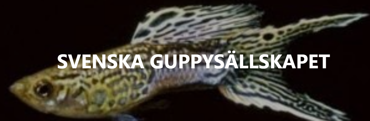 Svenska Guppy Sällskapet
