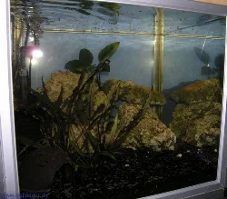 On the way towards a rocky coast aquarium.
