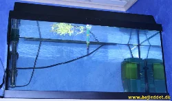 Mit 'startsæt' uden fisk – her er der endnu ikke taget stilling til beboerne