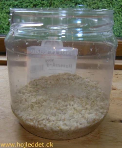 A microworm culture in a jar. The worms appear as a whitish film on the sides.