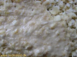 As the culture ages, the oatmeal mixture becomes more liquid.