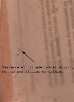 De små prikker i vandet viser en aktiv kultur af Moina.