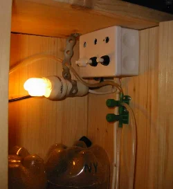 And here is the switch panel, as well as the upper socket with a 4W energy-saving bulb. The idea is to turn off the upper bulb and turn on the lower one when harvesting.