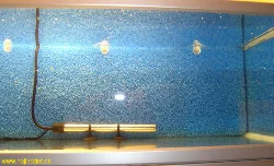 After mounting in the aquarium - corner section.
