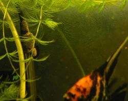 The heater can also be used.
