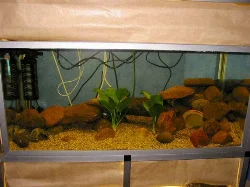 153 Liter Aquarium
