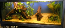 325 liter aquarium (top)