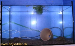 45 liters akvarium